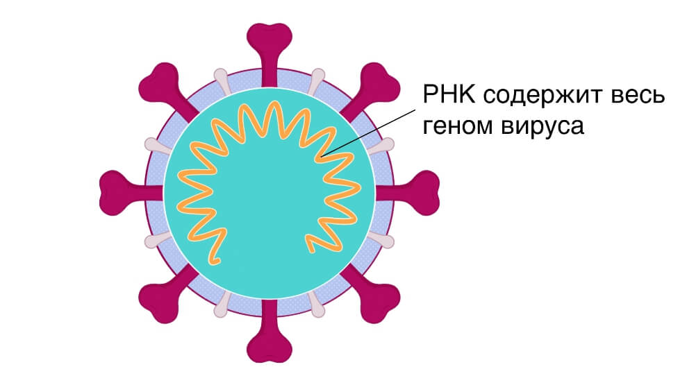 Kra33.cc