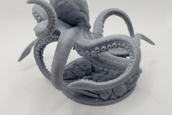 Kraken tor song