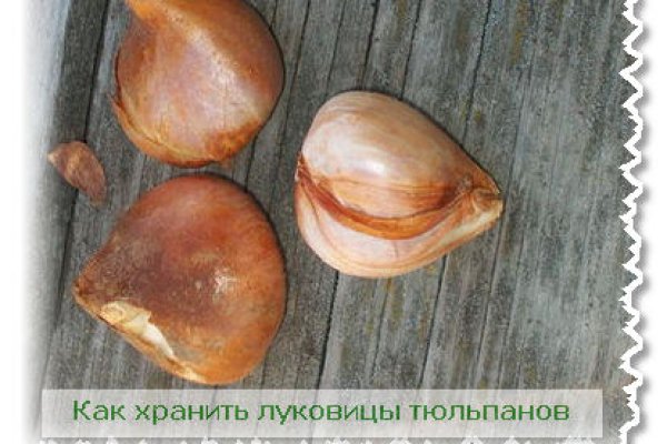 Кракен сайт пользователь не найден