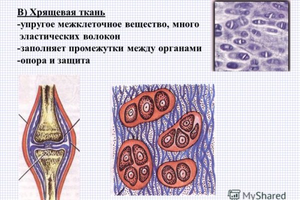 Какая ссылка на кракен