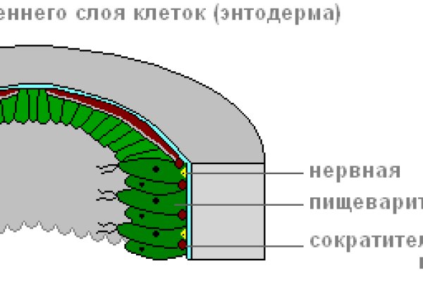 Кракен ссылка официальная