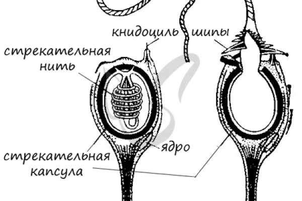 Кракен дарк оригинал ссылка