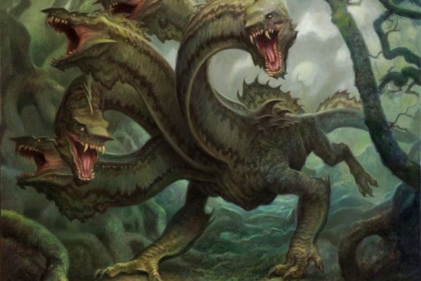 Kraken forum
