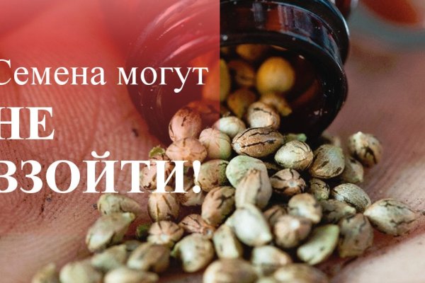 Кракен ссылка onion