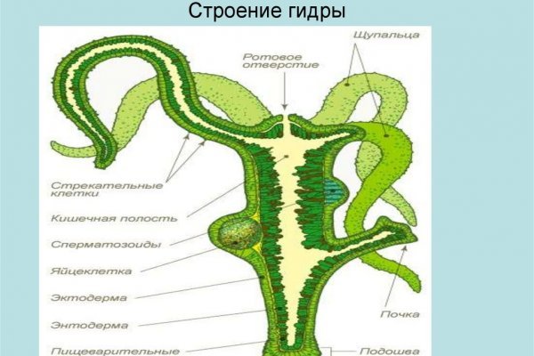 Kraken рабочая ссылка onion