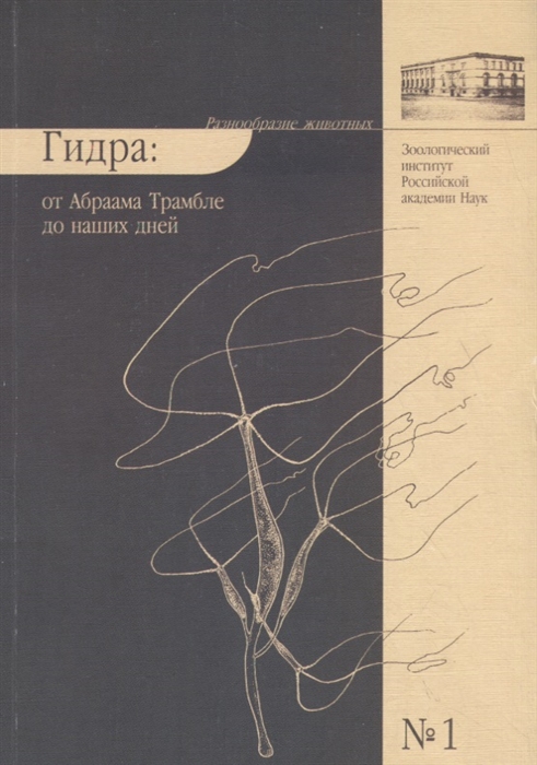 Как вывести деньги с кракена тор